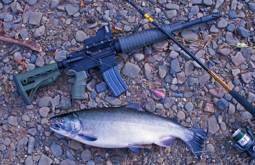 Bear-Country-Beowulf