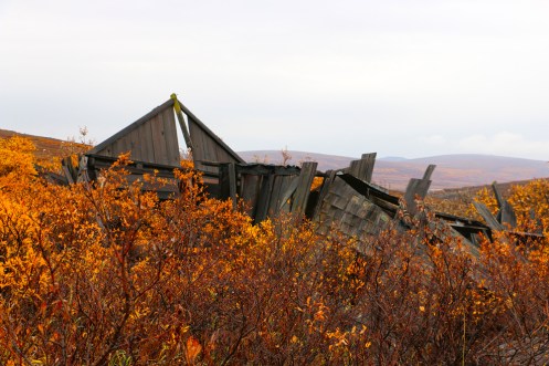 Collapsed Cabin