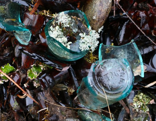 Moss-on-the-Tailing-Piles