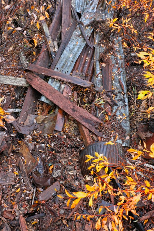 Roof and Stove Remains