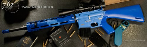 Blue Two-tone AR-15 Fern New Zealand